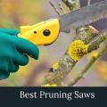 Pruning Portable Folding Hand Saw. 