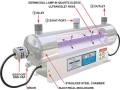 Ultraviolet (UV) Light for Drinking Water Disinfection, Full ss Body-1Gpm(3.8 lpm).