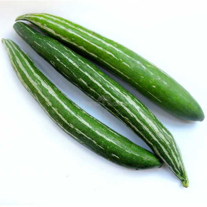 Organic%20Chichinga/Kushi%20Seeds%20-10%20Pcs%20Seeds%20-%20Image%202