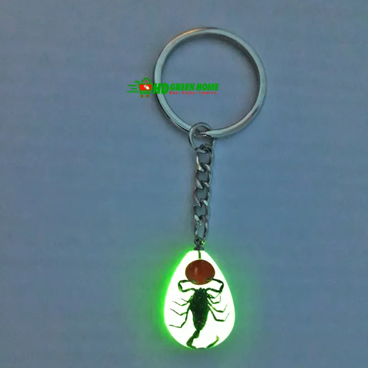 Luminous%20Small%20Scorpion%20Key%20Ring%20Glow%20in%20the%20Dark%20Fluorescent%20Keyring%20Key%20Holder%20-%20Image%204