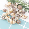 About 100Pcs/Box Natural Conch Shells Aquarium Landscape Seashells Crafts Decor Cherry Super Store. 