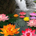 10cm/17cm Artificial Lotus Fake Plant Pond Decor Artificial Water Lily Floating Foam Lotus Home Garden Fish Tank Fake Flower Natuo. 
