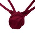 Swimwear Mens Swimsuit Bikini G-string Thong Briefs Underwear Swim Briefs Lingerie Swimming Suit Tanga Thongs Underwear.