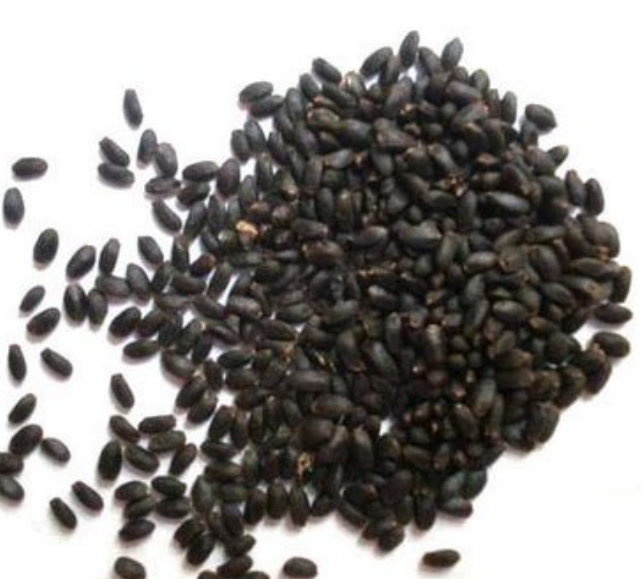 Tokma%20Dana%20Premium%20Basil%20seed%20-%201KG%20-%20Image%202