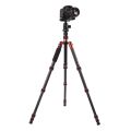 Triopo GT-2505x8.C Adjustable Portable Carbon Fiber Tripod with B-1 Aluminum Ball Head for Canon Nikon Sony DSLR Camera.