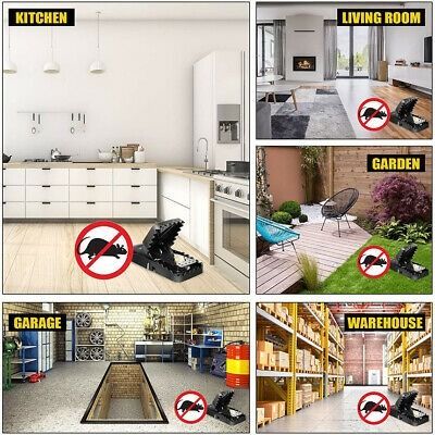 2pcs%20Mouse%20Trap%20Mouse%20Finger%20Live%20Trap%20Rat%20trap%20Black%20-%20Image%202