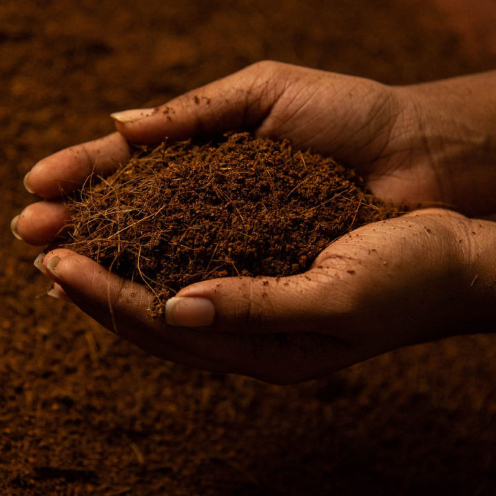 Natural%20Coco%20Peat%20/%20Cocopeat%20/%20Cocodust%20for%20Gardening%20-%20%201kg%20-%20Image%203