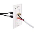 TWEXQNY 4 Posts Speaker Wall Plate Home Theater Wall Plate Audio Panel for 1 Speakers. 