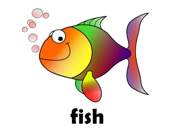 Fish%20Flash%20Card%20for%20Kids%20Early%20Learning%2024%20Cards%20-%20Image%203