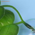 [LargeLookout] 1Pc Artificial Aquarium s Decoration Betta Fish Rest Spawning Ornamental Plant Fish Play Relax Hide Leaf Hammock. 