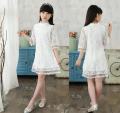 Little Girl Flower Lace Princess Dress 2y to 7y round neck high neck Kids Summer Sweet Sleeveless Dress. 
