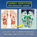 1 Pair Foot Massage Socks Acupressure Reflexology Socks Yoga Foot Massage Foot Point Diagram Acupoint Socks With Massage Sticks. 