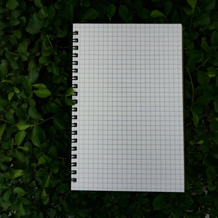 Designer Series Kraft Spiral Grid Graph Notebook