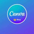 COMBO Windows 11 Pro key, Microsoft Office 365 5 Device Account and Canva pro Account All are lifetime Validity. 100% Genuine [Email Delivery instant]. 