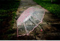 Thickening Transparent Three Fold Rain Umbrella Japanese Cherry Blossom Plastic PVC Clear Falbala Umbrellas Women parapluie. 