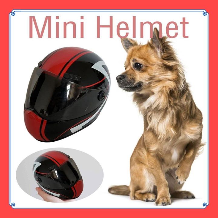 VibeVendor%20Veromoda%20Mini%20Pets%20Motorcycle%20Helmet%20Safety%20Small%20Little%20Dogs%20Biker%20Puppy%20Hat%20Cute%20Cats%20D8B1%20-%20Image%206