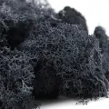 Natural Decoration Norwegian Reindeer Moss Preserved Dried Craft Flower 500g Box. 