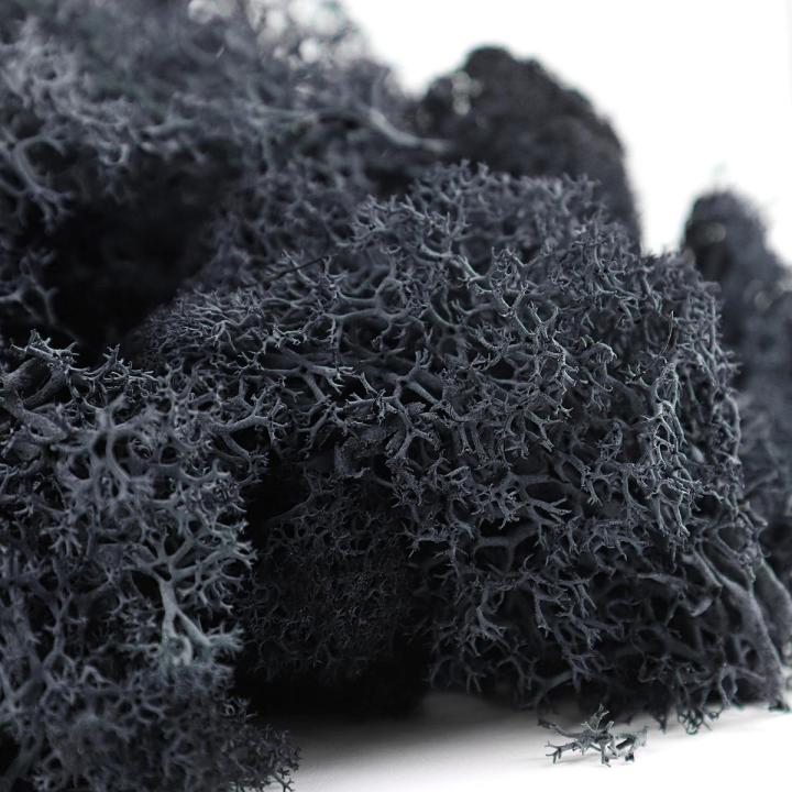 Natural%20Decoration%20Norwegian%20Reindeer%20Moss%20Preserved%20Dried%20Craft%20Flower%20500g%20Box%20-%20Image%207
