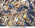 All Natural Cockatiel Blend Bird Seed - 1KG. 