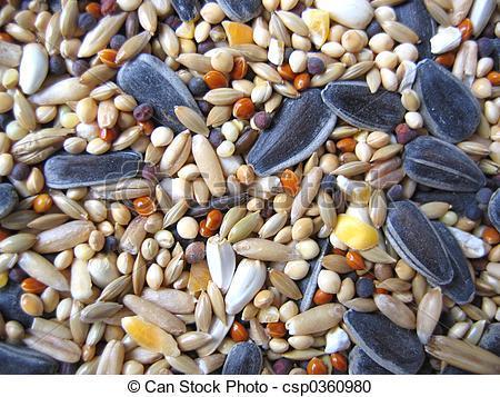 All%20Natural%20Cockatiel%20Blend%20Bird%20Seed%20-%201KG%20-%20Image%202