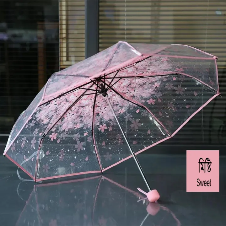 Transparent%20Umbrella%20-%20Image%203