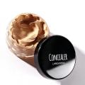 Latei Posies Face Concealer Cream Foundation Palette Liquid Full Cover Dark Circles Acne Contour Concealing Cream Waterproof Makeup Cosmetics. 