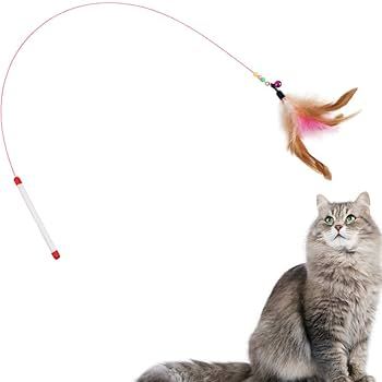 Cat Feather Toys & Wand
