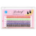Lvcheryl 100Pcs New Colorful Individual Lashes Extension 12mm Natural Faux Mink Eyelashes 30D Cluster Colored Eyelash Extension Makeup Tool. 