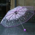 Transparent Three Folding Umbrella Ladies Stylish Clear Pink, Purple, Blue & Green Folding Umbrella.