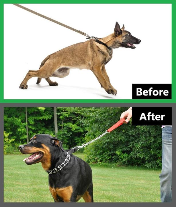 Benepaw%20Adjustable%20Prong%20Dog%20Training%20Collar%20Choke%20Pinch%20Collar%20With%20Comfort%20Tips%20For%20Medium%20Large%20Dogs%20German%20Shepherd%20Pitbull%20Silver%20-%20Image%205