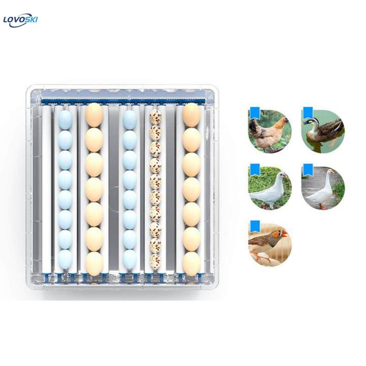 Egg%20Hatcher%20Egg%20Turner%20Tray%20for%20Goose%20Turkey%20Pigeon%2012%20Egg%20-%20Image%207