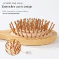 MIni Anti-Static Wood Hair Brush with Extendable Comb Design for Healthy Scalp Care.