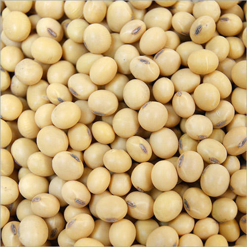 Soybean%20Seeds(Soybean%20dana)%20500%20gm%20-%20Image%202