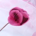 1PC Colorful Pink Tulip Sheer Curtains Voile Tulle For Living Room Bedroom Window Treatment Screening Drapes Home Decoration. 
