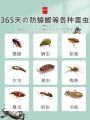 Mothball Household Non-Toxic Wardrobe Mildew-Proof Insect-Proof Moisture-Proof Insect-Proof Aromatherapy Clothes Moth-Proof Cockroach Ball Deodorant. 