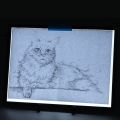 A3(46x33.6cm) LED Light Box Tracer A3 Ultra-Thin Light Pad Copy Board for Artists Drawing/Sketching/Animation/Stencilling X.