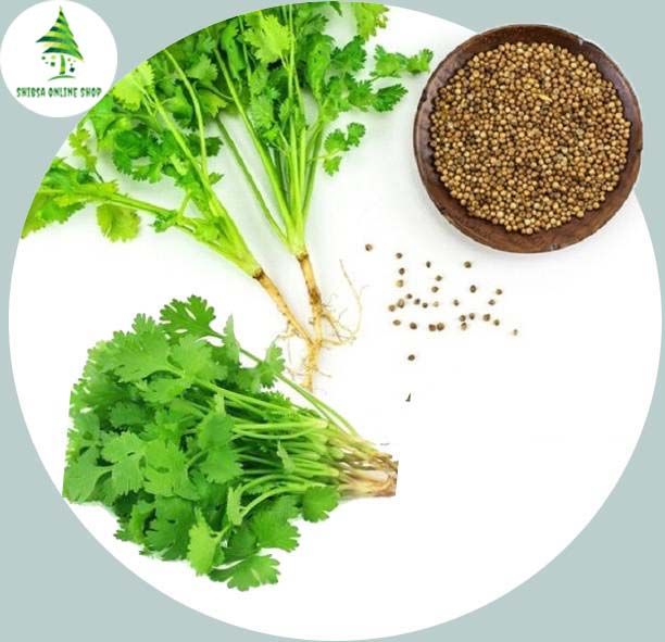 All%20Season%20Dhoniya%20Pata%20Seeds%20-%2030%20Pcs%20Seeds%20-%20Image%202