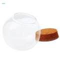 3pcs Glass Ball Shaped Cover Landscape Terrarium Container Lid Vase Bottle. 
