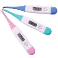 NTI Hard Head Digital Clinical Thermometer. 