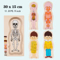 Wooden Human Body Puzzle Montessori Boys Girls Multi-Layer Body Structure Puzzle Cognitive Teaching Aids Learning Toys For Child.