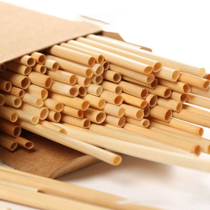 100Pcs%20Party%20Bar%20Accessories%2020cm%20Wheat%20Drinking%20Straws%20Disposable%20Eco-Friendly%20Environmentally%20Straws%20Natural%20Portable%20Degradable%20Straws%20Bar%20-%20Image%207