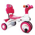 Rock Rider Tri Cycle For kids boys and girls RFL Toys. 