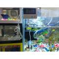 Digital Thermometer For Aquarium Fish Tank, Biofloc & Oter Fish Farming. 