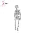 Portable Skull Prop Attractive Plastic Funny Halloween Luminous Skeleton Body Toy Sculpture for Festival. 