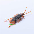 10 pcs x Simulation Plastic Cockroach Scorpion Toy Realistic Insect Prank Funny Trick Toys. 