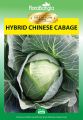 Hybrid Chinese Cabbage Seeds 20 Pieces (Premium Quality). 