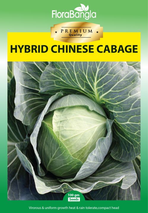 Hybrid Chinese Cabbage Seeds 20 Pieces (Premium Quality)