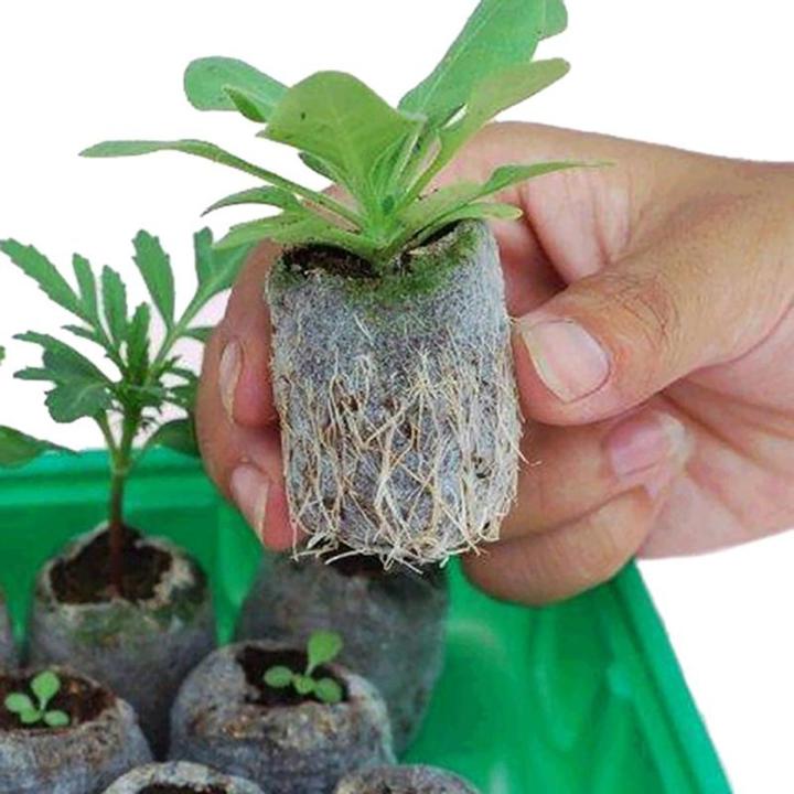 Environmental Peat Pellets Seedling Jiffy Transplanting NURSERY Seeds- 5Pcs Seeds
