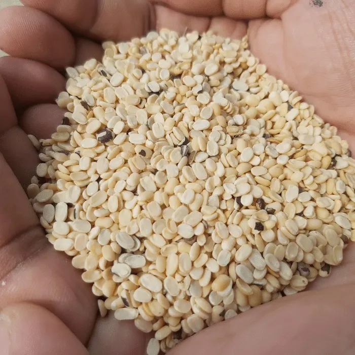 Mashkalai%20Dal/%20Lentil/%20Non%20Processing%20Mashkalai/%20Raw%20Mashkalai%20Dal-%203kg%20-%20Image%206
