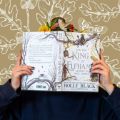 How the King of Elfhame Learned to Hate Stories  (  The Folk of the Air #3.5  )   (  Book by Holly Black  )   (  Premium Print and Matte Lamination  ). 